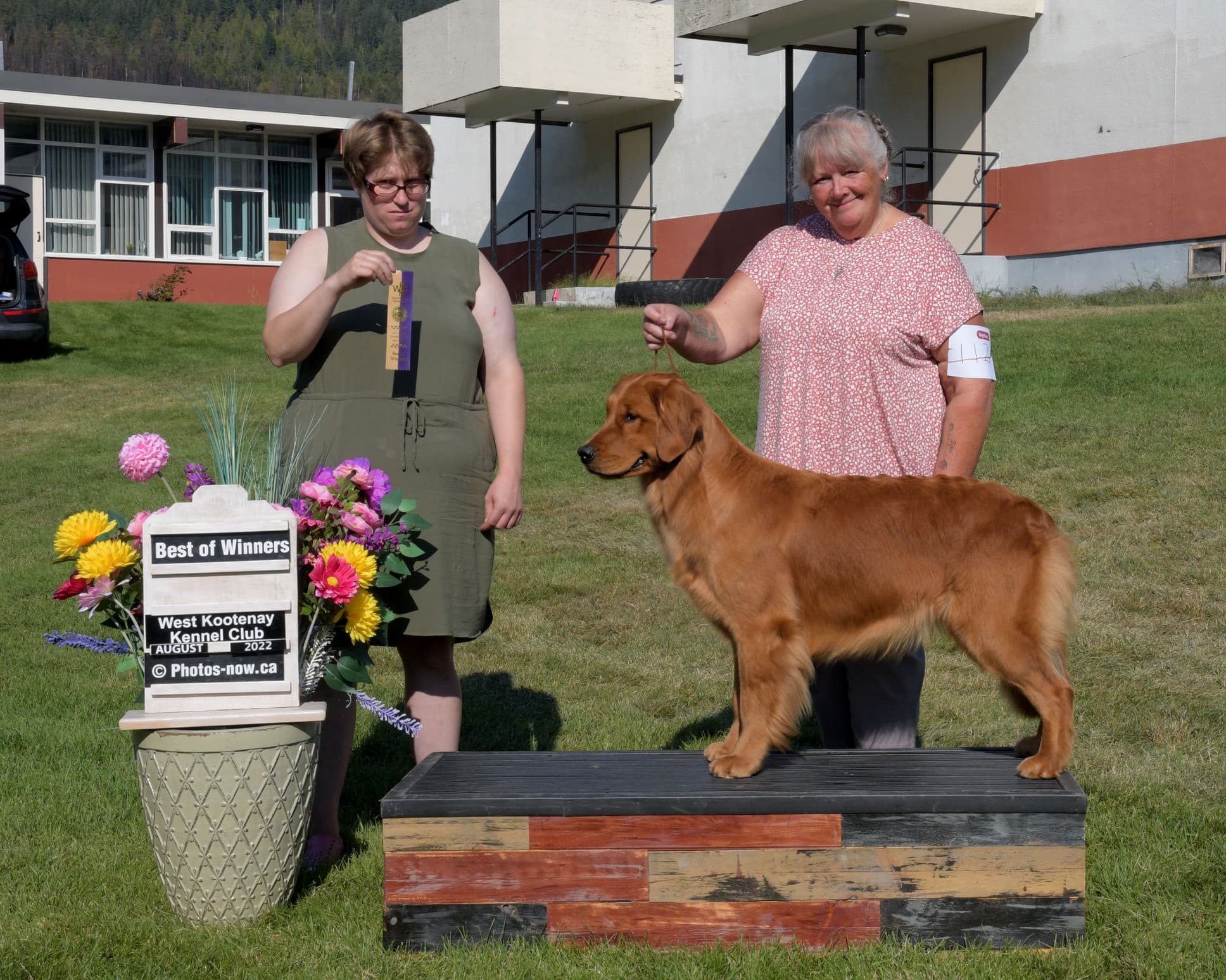 Redgold's Te Ruhutai